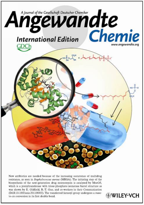 Angewandte Chemie封面